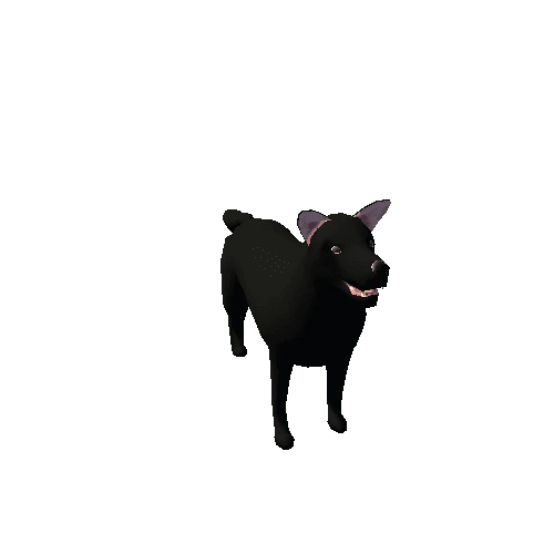 NPC Black Dog